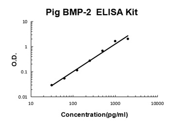 Pig porcine BMP-2 ELISA Kit
