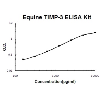 Horse equine TIMP-3 ELISA Kit