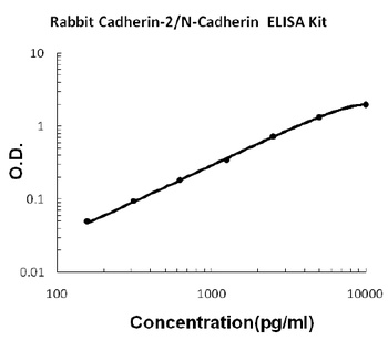 Rabbit N-Cadherin-2 CDH2 CD325 ELISA Kit