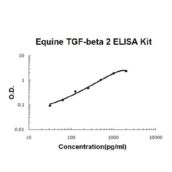 Horse equine TGF-Beta 2 ELISA Kit