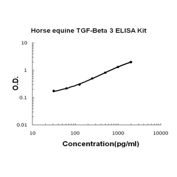 Horse equine TGF-Beta 3 ELISA Kit