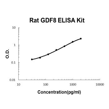 Rat Myostatin/GDF8 ELISA Kit