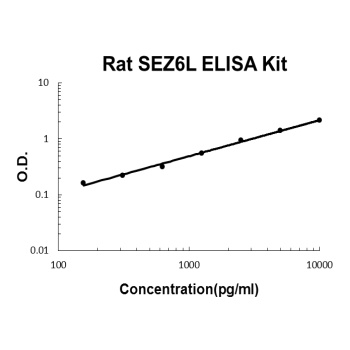 Rat SEZ6L ELISA Kit