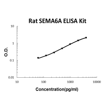 Rat SEMA6A/Semaphorin-6A ELISA Kit