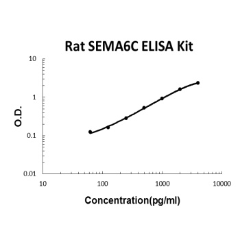 Rat SEMA6C ELISA Kit