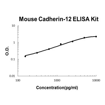 Mouse BR-Cadherin-12 Cdh12 ELISA Kit