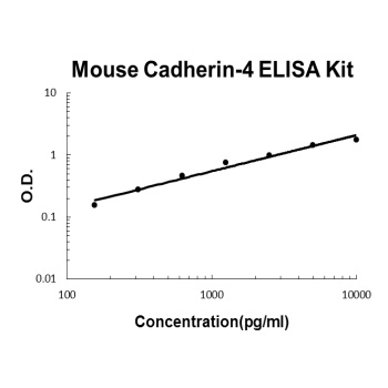 Mouse R-Cadherin-4 Cdh4 ELISA Kit