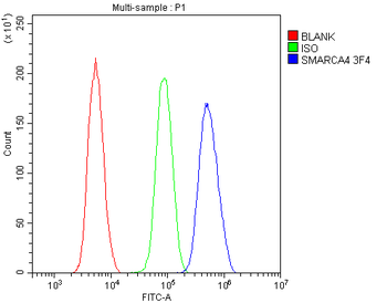 Anti-BRG1 SMARCA4 Antibody (monoclonal, 3F4)