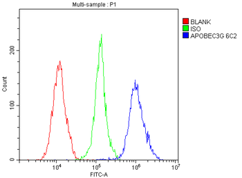 Anti-APOBEC3G Antibody (monoclonal, 6C2)
