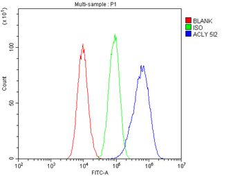 Anti-ATP citrate lyase ACLY Antibody (monoclonal, 5I2)