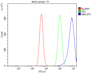 Anti-NMI Antibody (monoclonal, 2F3)