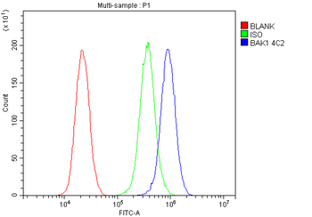 Anti-BAK/BAK1 Antibody (monoclonal, 4C2)