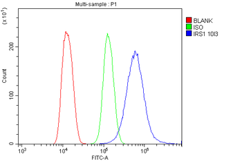 Anti-IRS1 Antibody (monoclonal, 10I3)