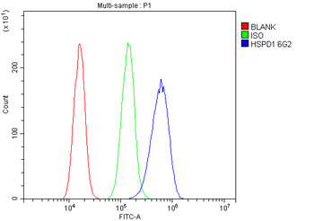Anti-Hsp60/HSPD1 Antibody (monoclonal, 6G2)