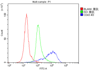 Anti-CD43/SPN Antibody (monoclonal, 4I3)