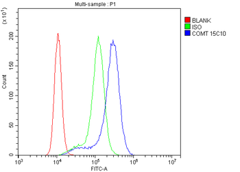 Anti-COMT Antibody (monoclonal, 15C10)