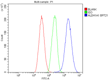 Anti-Retinal dehydrogenase 1 ALDH1A1 Antibody