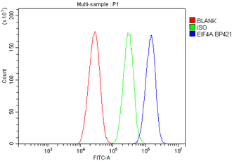 Anti-EIF4A1/2/3 Antibody