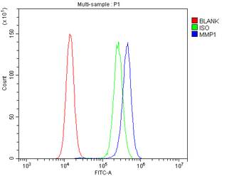 Anti-MMP1 Antibody