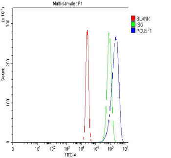 Oct4/POU5F1 Antibody