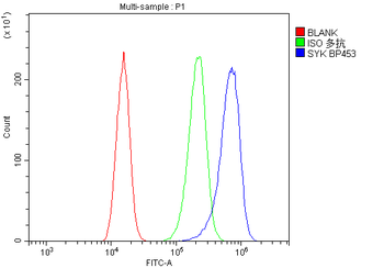 Anti-SYK Antibody