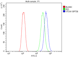 Anti-B7H4/VTCN1 Antibody