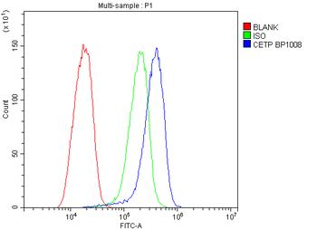 Anti-CETP Antibody