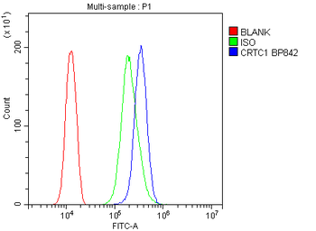 Anti-TORC1/CRTC1 Antibody