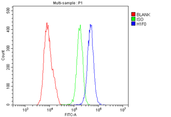 Anti-Histone H1.0/H1F0 Antibody
