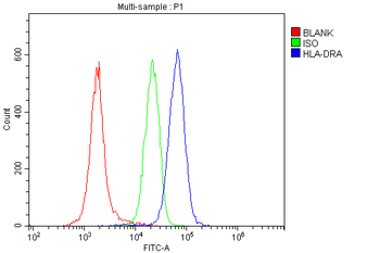Anti-HLA-DR/HLA-DRA Antibody