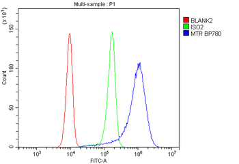 Anti-MTR Antibody