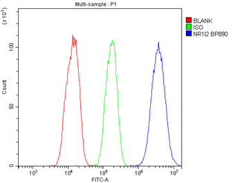 Anti-PXR/NR1I2 Antibody