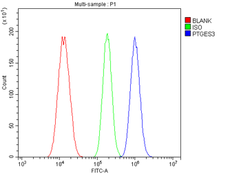 p23/PTGES3 Antibody