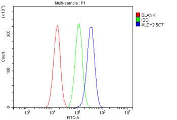 Anti-ALDH2 Antibody (monoclonal, 5G7)