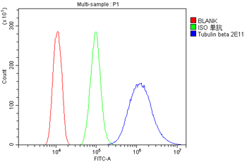 Anti-Beta Tubulin TUBB Antibody (monoclonal, 2E11)