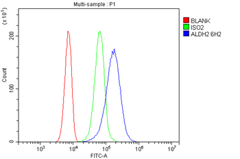 Anti-ALDH2 Antibody (monoclonal, 6H2)