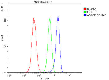 Anti-Acetyl Coenzyme A Carboxylase/ACACB Antibody