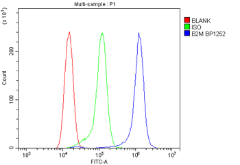 Anti-beta 2 Microglobulin/B2m Antibody