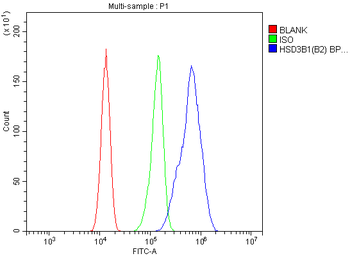 Anti-HSD3B1 Antibody