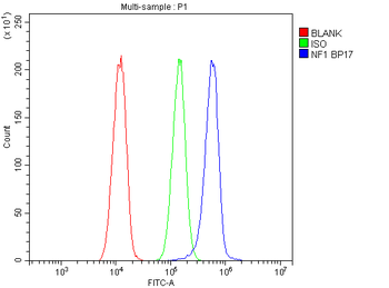 Anti-Neurofibromin/NF1 Antibody