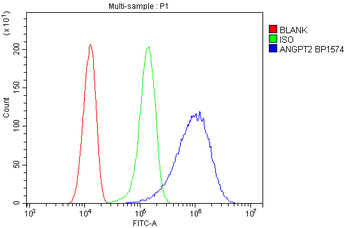 Anti-Angiopoietin-2/ANGPT2 Antibody
