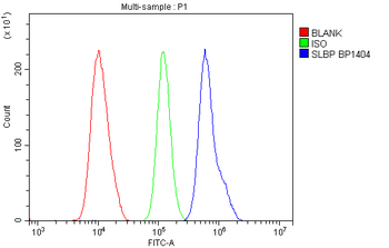 Anti-SLBP Antibody