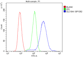 Anti-VMAT1/SLC18A1 Antibody