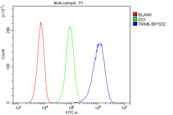 Anti-TLR1 TRIM6 Antibody