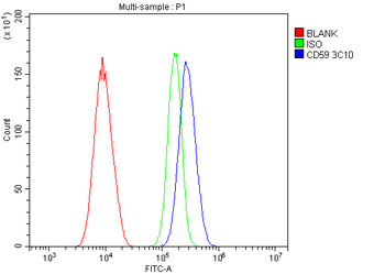 Anti-CD59 Antibody (monoclonal, 3C10)
