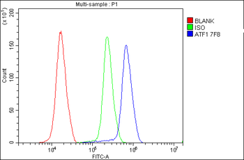 Anti-ATF1 Antibody (monoclonal, 7F8)