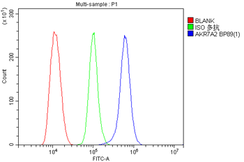 Anti-AKR7A2 Antibody