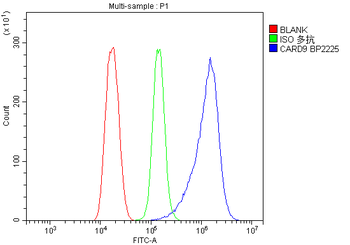 Anti-CARD9 Antibody