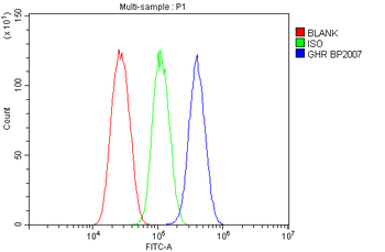 Anti-Growth hormone receptor/GHR Antibody
