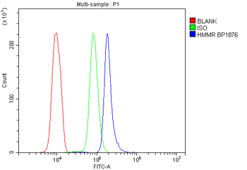 Anti-CD168/HMMR Antibody